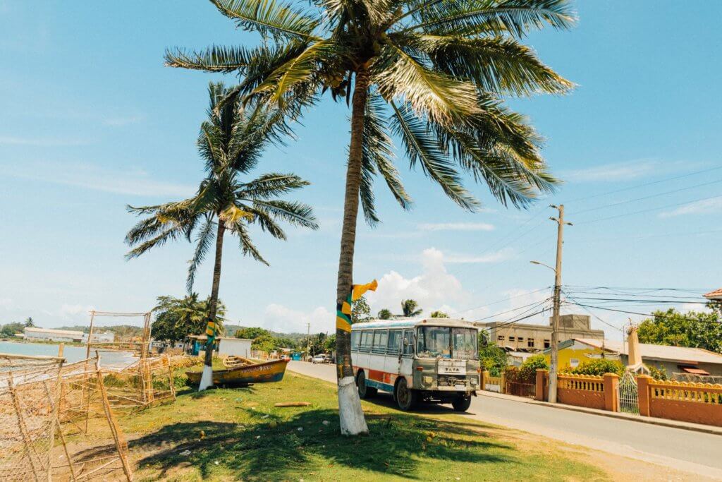 old tata bus on caribbean road passing by 2 giant palm trees